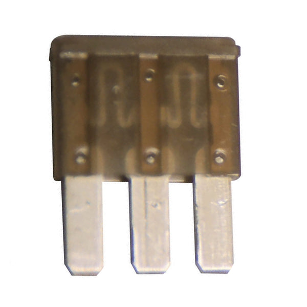 Assorted Micro 2, Micro 3 & M-Case Fuses
