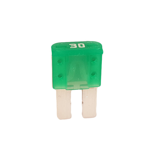 Assorted Micro 2, Micro 3 & M-Case Fuses