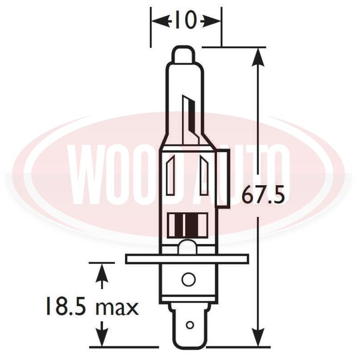 H1, 12V HALOGEN BULB, 55W, P14.5s